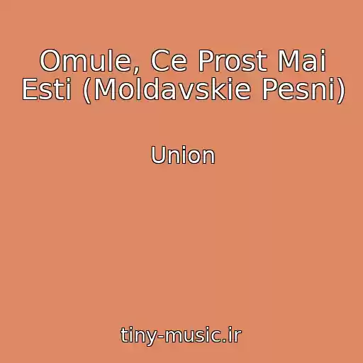 کاور آهنگ Omule, Ce Prost Mai Esti (Moldavskie Pesni) از Union