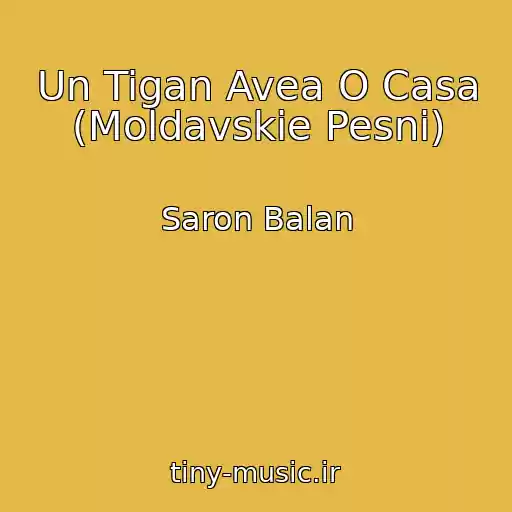 کاور آهنگ Un Tigan Avea O Casa (Moldavskie Pesni) از Saron Balan