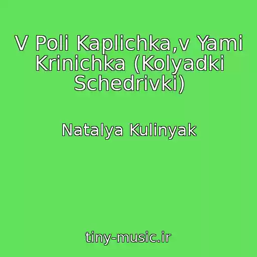 کاور آهنگ V Polі Kaplichka,v Yamі Krinichka (Kolyadki Schedrіvki) از Natalya Kulinyak