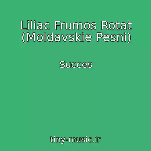 کاور آهنگ Liliac Frumos Rotat (Moldavskie Pesni) از Succes