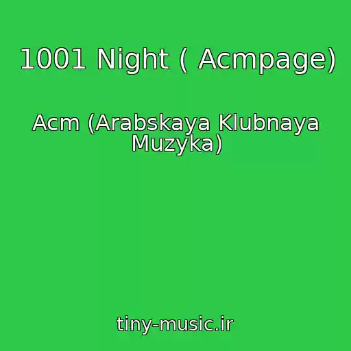کاور آهنگ 1001 Night ( Acmpage) از Acm (Arabskaya Klubnaya Muzyka)