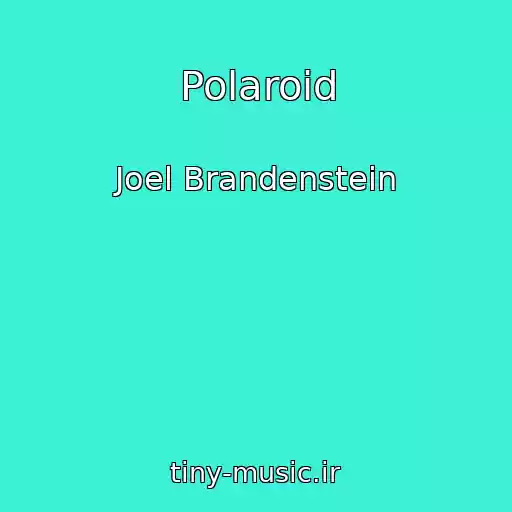 کاور آهنگ Polaroid از Joel Brandenstein