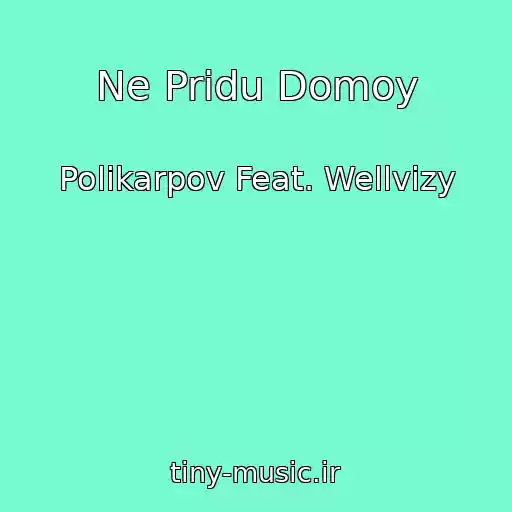 کاور آهنگ Ne Pridu Domoy از Polikarpov Feat. Wellvizy