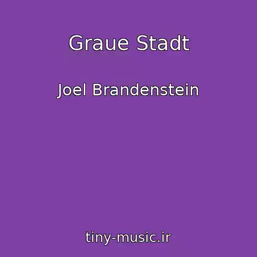 کاور آهنگ Graue Stadt از Joel Brandenstein