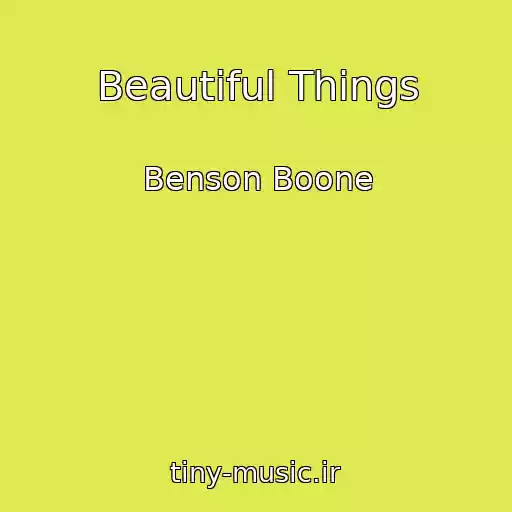 کاور آهنگ Beautiful Things از Benson Boone