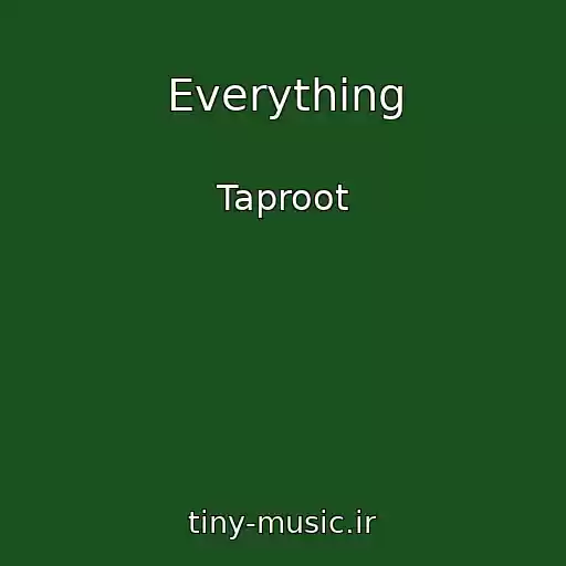 کاور آهنگ Everything از Taproot