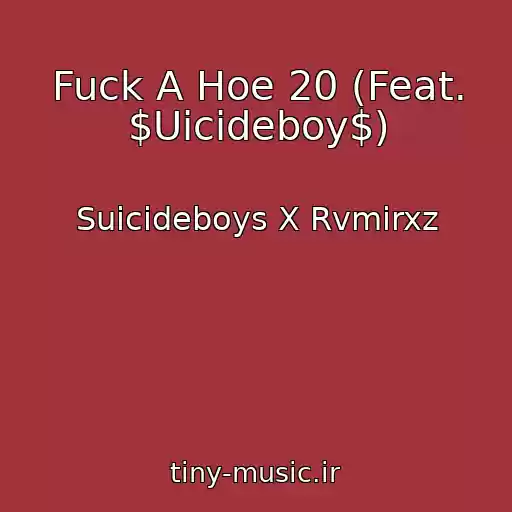 کاور آهنگ Fuck A Hoe 20 (Feat. $Uicideboy$) از Suicideboys X Rvmirxz
