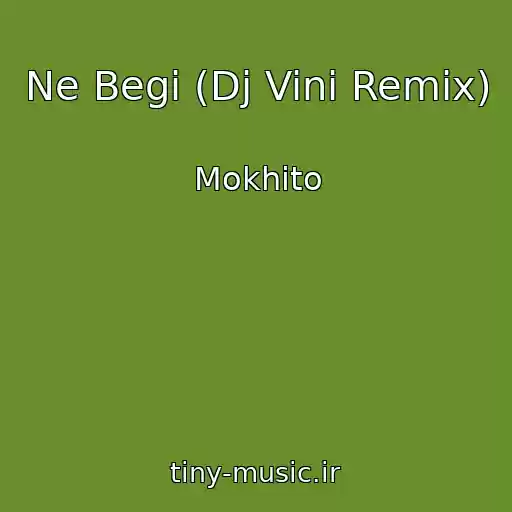 کاور آهنگ Ne Begi (Dj Vini Remix) از Mokhito