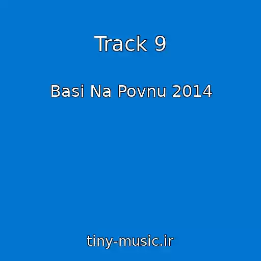 کاور آهنگ Track 9 از Basi Na Povnu 2014