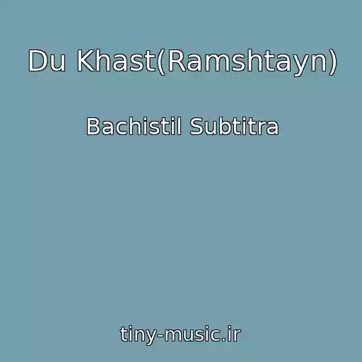 کاور آهنگ Du Khast(Ramshtayn) از Bachistil Subtitra