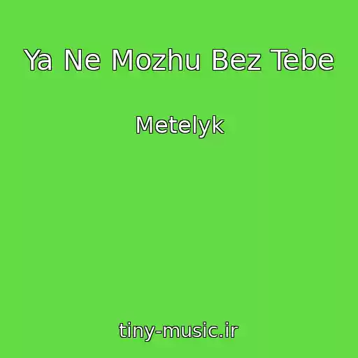 کاور آهنگ Ya Ne Mozhu Bez Tebe از Metelyk