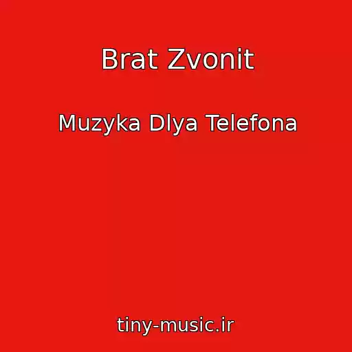 کاور آهنگ Brat Zvonit از Muzyka Dlya Telefona