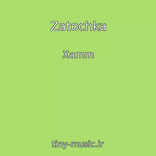 کاور آهنگ Zatochka از Xamm
