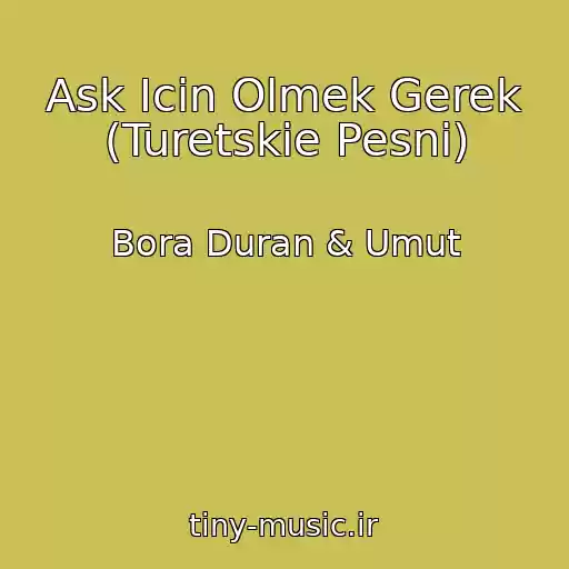 کاور آهنگ Ask Icin Olmek Gerek (Turetskie Pesni) از Bora Duran & Umut