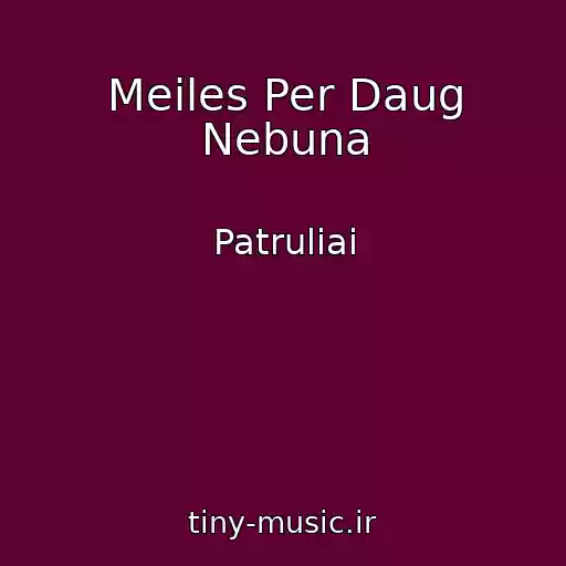 کاور آهنگ Meiles Per Daug Nebuna از Patruliai