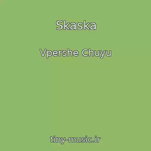 کاور آهنگ Skaska از Vpershe Chuyu