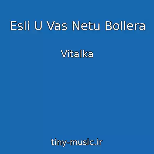 کاور آهنگ Esli U Vas Netu Bollera از Vitalka
