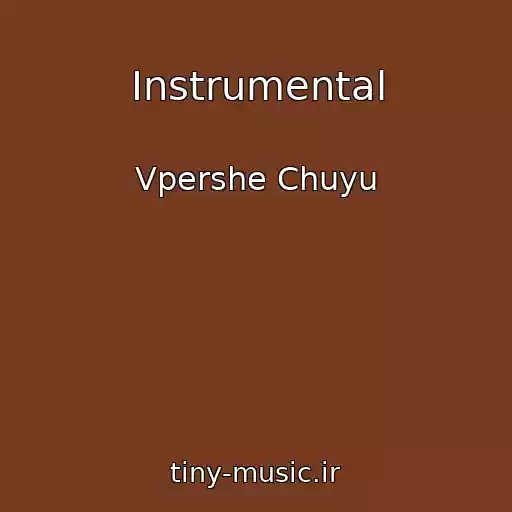 کاور آهنگ Instrumental از Vpershe Chuyu