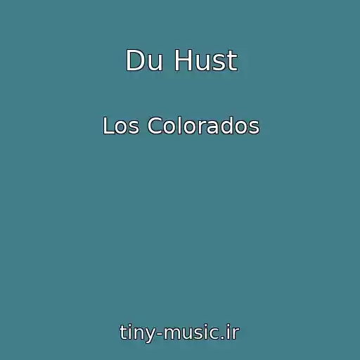 کاور آهنگ Du Hust از Los Colorados