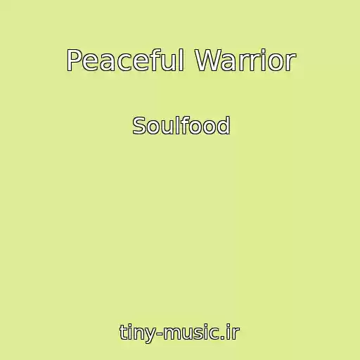 کاور آهنگ Peaceful Warrior از Soulfood
