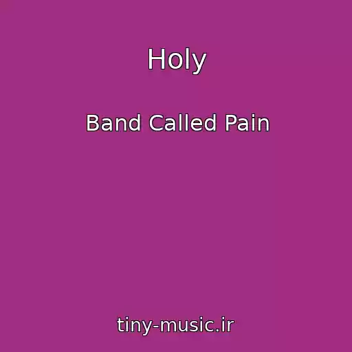 کاور آهنگ Holy از Band Called Pain
