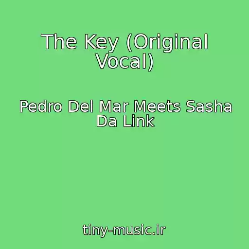 کاور آهنگ The Key (Original Vocal) از Pedro Del Mar Meets Sasha Da Link