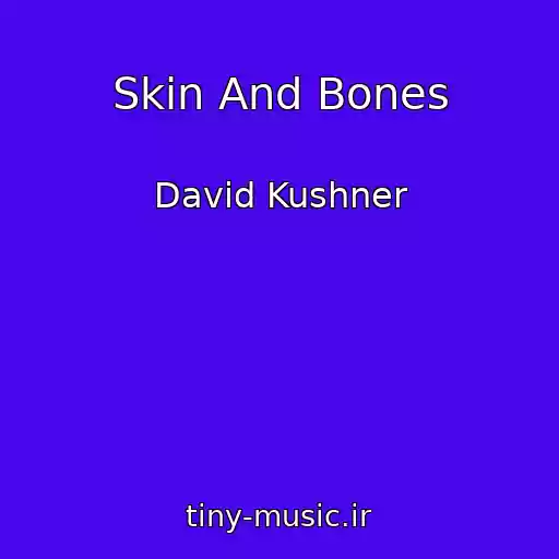 کاور آهنگ Skin And Bones از David Kushner