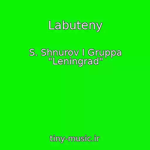 کاور آهنگ Labuteny از S. Shnurov I Gruppa "Leningrad"