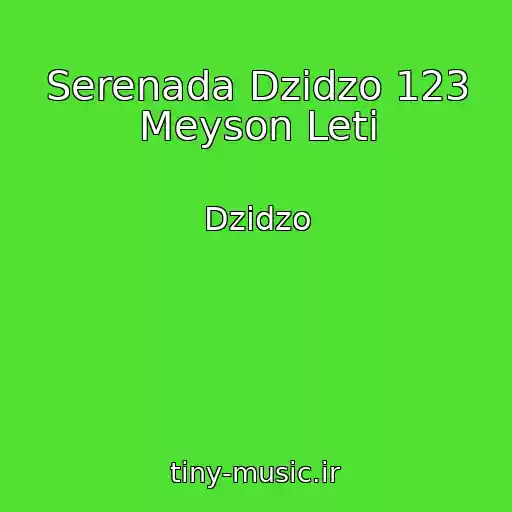 کاور آهنگ Serenada Dzіdzo 123 Meyson Leti از Dzіdzo
