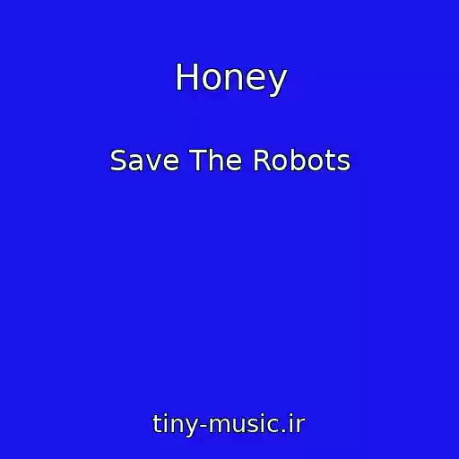 کاور آهنگ Honey از Save The Robots