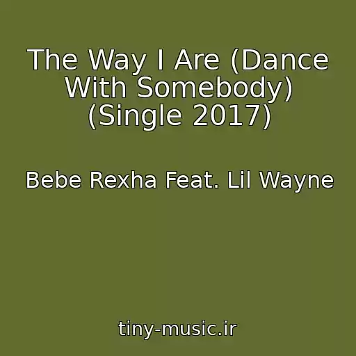 کاور آهنگ The Way I Are (Dance With Somebody) (Single 2017) از Bebe Rexha Feat. Lil Wayne