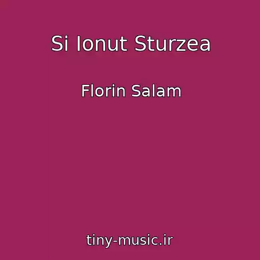کاور آهنگ Si Ionut Sturzea از Florin Salam