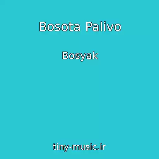 کاور آهنگ Bosota Palivo از Bosyak