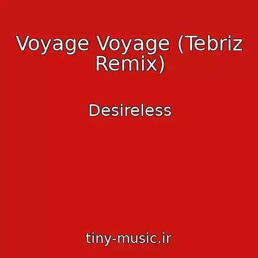 کاور آهنگ Voyage Voyage (Tebriz Remix) از Desireless