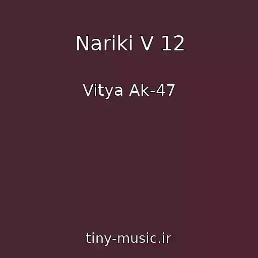 کاور آهنگ Nariki V 12 از Vitya Ak-47