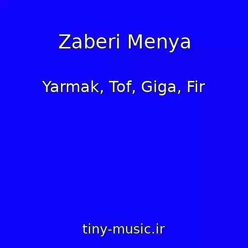 کاور آهنگ Zaberi Menya از Yarmak, Tof, Giga, Fir