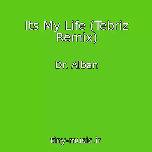 کاور آهنگ Its My Life (Tebriz Remix) از Dr. Alban