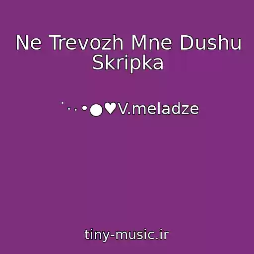 کاور آهنگ Ne Trevozh Mne Dushu Skripka از ˙·٠•●♥V.meladze