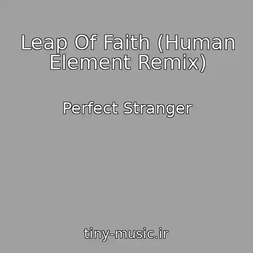 کاور آهنگ Leap Of Faith (Human Element Remix) از Perfect Stranger