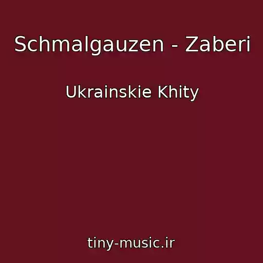 کاور آهنگ Schmalgauzen - Zaberi از Ukrainskie Khity
