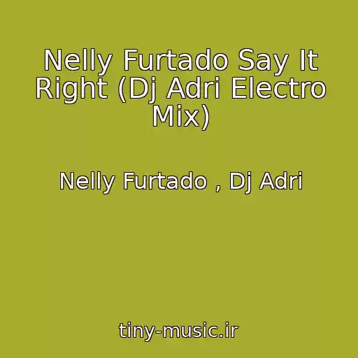 کاور آهنگ Nelly Furtado Say It Right (Dj Adri Electro Mix) از Nelly Furtado , Dj Adri