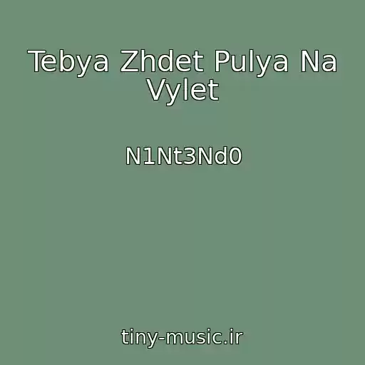 کاور آهنگ Tebya Zhdet Pulya Na Vylet از N1Nt3Nd0