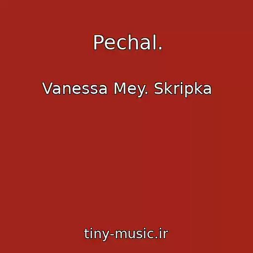 کاور آهنگ Pechal. از Vanessa Mey. Skripka