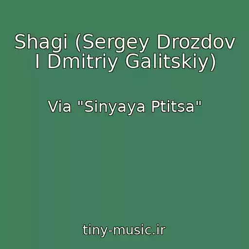 کاور آهنگ Shagi (Sergey Drozdov I Dmitriy Galitskiy) از Via "Sinyaya Ptitsa"