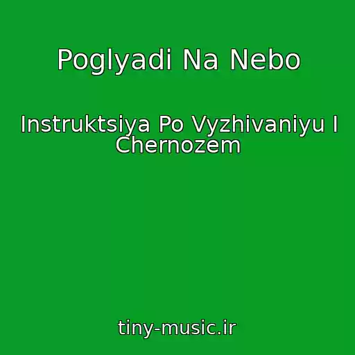 کاور آهنگ Poglyadi Na Nebo از Instruktsiya Po Vyzhivaniyu I Chernozem