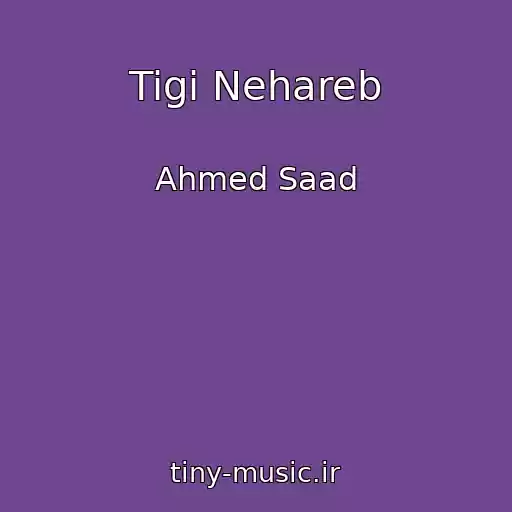 کاور آهنگ Tigi Nehareb از Ahmed Saad