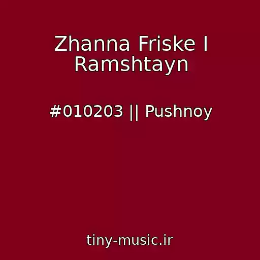 کاور آهنگ Zhanna Friske I Ramshtayn از #010203 || Pushnoy