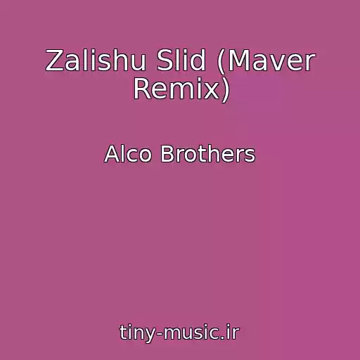 کاور آهنگ Zalishu Slіd (Maver Remix) از Alco Brothers