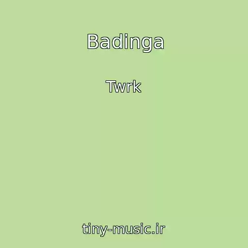 کاور آهنگ Badinga از Twrk