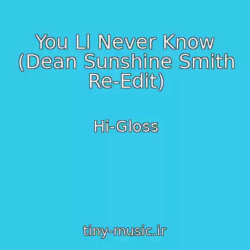 کاور آهنگ You Ll Never Know (Dean Sunshine Smith Re-Edit) از Hi-Gloss